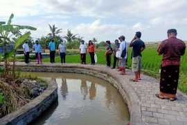 Di Denpasar, dinas perikanan tebar puluan ribu benih ikan nila