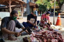 Pesantren Tebuireng Jombang menyembelih 22 ekor sapi