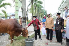 Wali kota serahkan sapi kurban di Masjid Agung