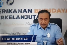 KKP: Program Pengelolaan Irigasi Tambak Partisipatif bantu pemulihan ekonomi