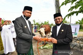 Daging kurban Presiden Jokowi untuk warga pra sejahtera di Jeneponto