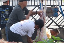 Pemotongan hewan kurban di Masjid Agung Medan ditiadakan