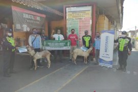 Coca-Cola Amatil Indonesia serahkan 84 hewan kurban sambut Idul Adha 1441 H