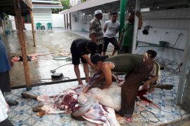 Mayoritas Muslim di Balangan laksanakan penyembelihan hewan kurban pada hari kedua