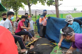 Jamaah LDII Kalsel tebar 355 ekor hewan kurban disituasi pandemi COVID-19