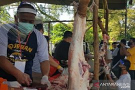 PT Timah terapkan protokol COVID-19 potong hewan qurban