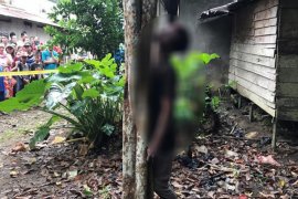 Cinta ditolak janda, seorang pemuda mengakhiri hidupnya dengan seutas tali di pohon langsat