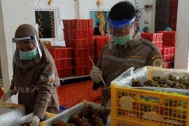 Kemendag: Neraca dagang pertanian defisit 2,81 miliar dolar AS