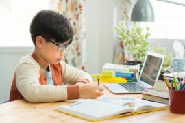 Pakar sebut ketersediaan internet jadi kendala pembelajaran jarak jauh
