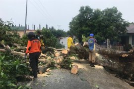 Sebanyak 11 unit rumah warga Abdya rusak parah diterjang puting beliung