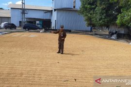 Bulog akan bangun gudang pendingin daging impor di NTB