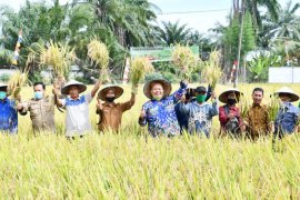 Pemkab Sergai harapkan petani terus berinovasi