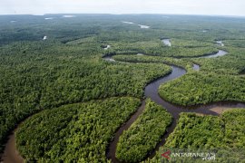 Forestry sector to contribute 60 pct to Indonesia's emissions cut