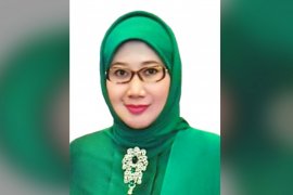 Reni Marlinawati, calon bupati di Pilkada 2020 Sukabumi tutup usia