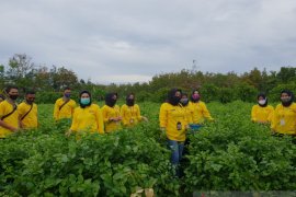 Pasukan kuning Perpus Palnam serbu petani Kampung Bunga