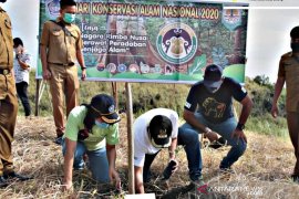 Lomban tanam pohon peringati HKAN di Bitung