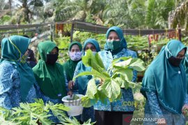 PKK Inhu wakili Riau tingkat nasional 2020