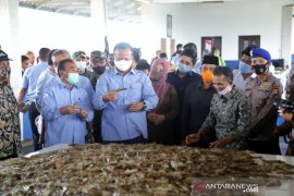 Bupati Pandeglang Dampingi Menteri Edhy Prabowo Panen Raya Udang Vaname