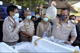 Menteri KKP tinjau TPFI Ngurah Rai