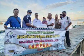 DKP Bangka Barat salurkan bantuan 5.000 benih kerapu