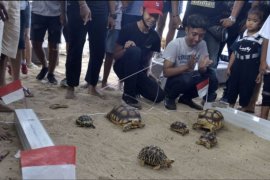 Pecinta satwa meriahkan HUT Kemerdekaan RI