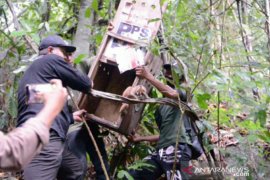 PT Timah-Alobi Foundation ambil bagian memerdekakan satwa liar dalam momen HUT RI ke-75