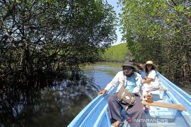 Potensi wisata Mangrove