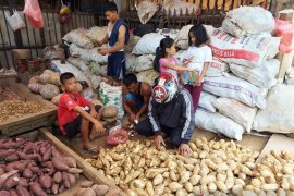 Ubikayu laris manis di Kota Bogor