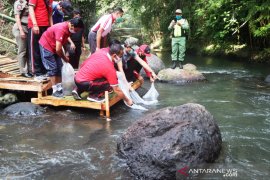 Pemkab Badung tebar 10 ribu benih nila untuk lestarikan alam