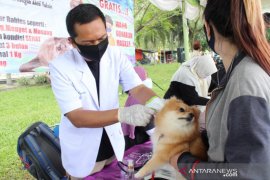Pemkab Bangka Tengah cegah penyebaran rabies