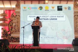 Menko Perekonomian dorong UMKM Bali manfaatkan KUR untuk ekspor saat COVID-19