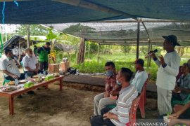 Pemkab Bangka Tengah dorong poktan kembangkan tanaman hortikultura
