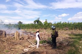 Dua titik api ditemukan  Kecamatan Muara Uya Tabalong