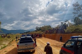 Dua kampung yang berperang di Jayawijaya sepakat untuk denda 65 ekor babi