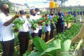 Ketua PKK Malra : Hasil kebun "Ve'e Kes Yang" untuk kaum marginal