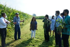 Diaspora Indonesia  akan dirikan pabrik tempe di Amerika Serikat