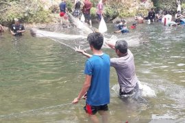 Dharmasraya miliki potensi pesar budidaya perikanan perairan umum, namun 70 persen terancam populasinya