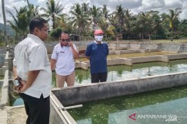 Pemkab Dharmasraya terima DAK Rp1,03 miliar untuk BBI dan benih ikan