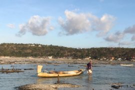 Petani di Nusa Lembongan-Bali tetap ekspor rumput laut meski pandemi COVID-19