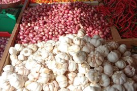 Harga bawang putih di pasar tradisional Ambon  naik