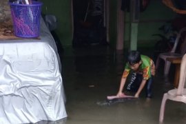 Empat rumah dan ruas jalan di Agam terendam banjir