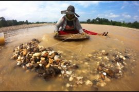 Penambang emas tradisional