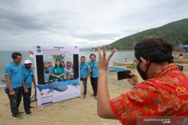 Gorontalo peringati Hari Hiu Paus Sedunia 2020 di Botubarani