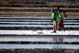 Harga Garam Madura Naik