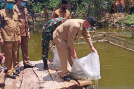 Wagub tebar bibit, produktif usaha ikan air tawar sejahterakan petani