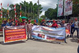 GTPP :  123 positif COVID-19 di Maluku sembuh dalam sepekan