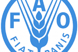 Asia-Pacific nations plan COVID-19 response for addressing hunger: FAO