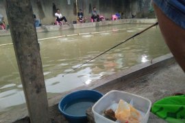 Meracik jajanan jadi umpan andalan memancing ikan