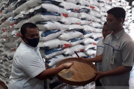 147.118 KPM-PKH di Kediri terima bantuan sosial beras