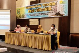 DPTPH Provinsi Kaltim latih Gapoktan budi daya padi organik